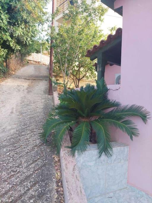 Βίλα Πασιθέα Kivérion Exterior foto